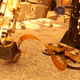 A test on Earth showing the arm pressing into the mole